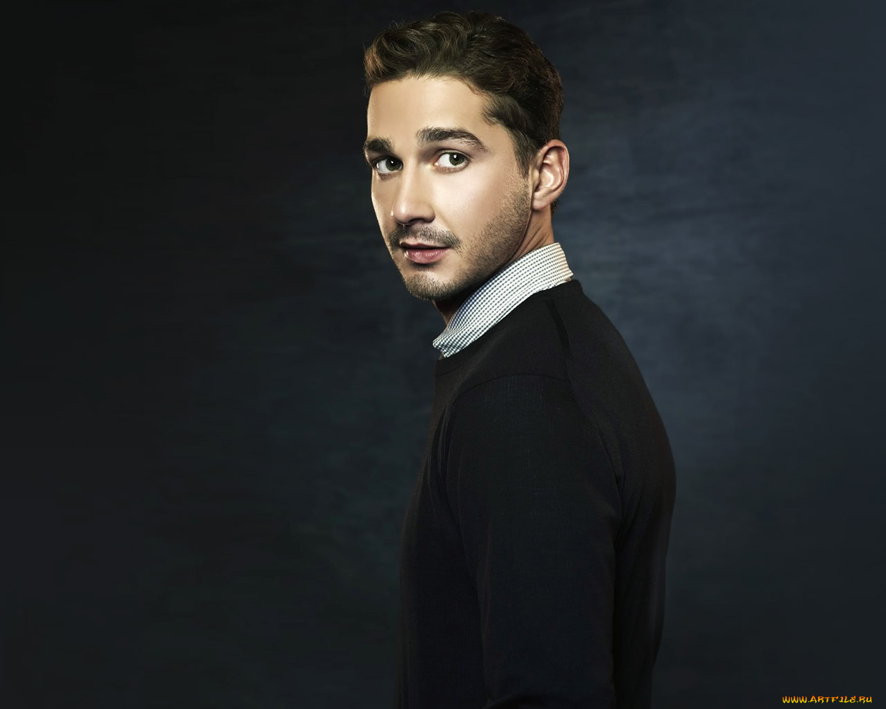 shia, labeouf, мужчины