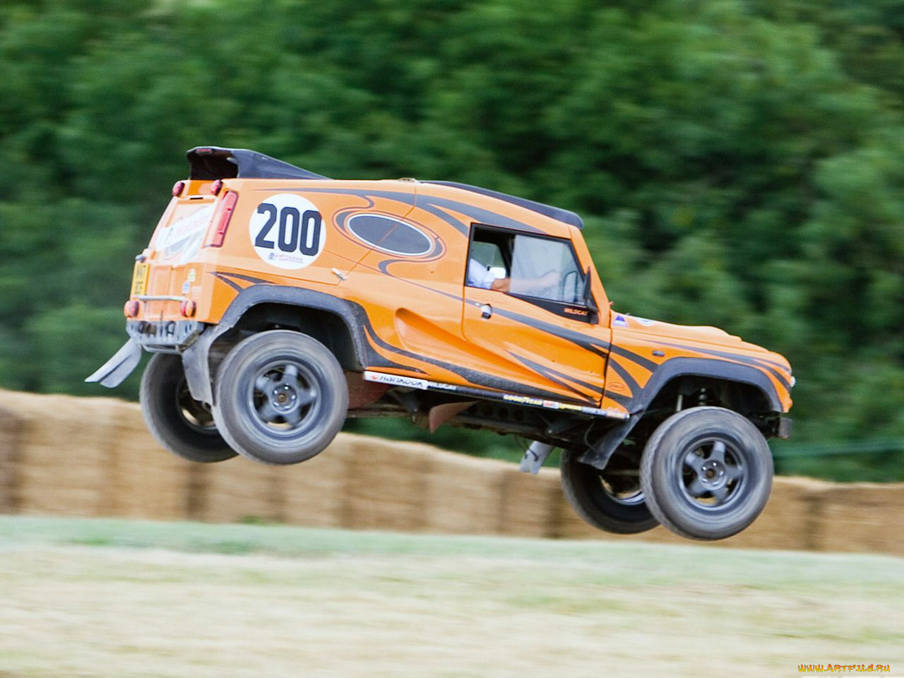 спорт, авторалли