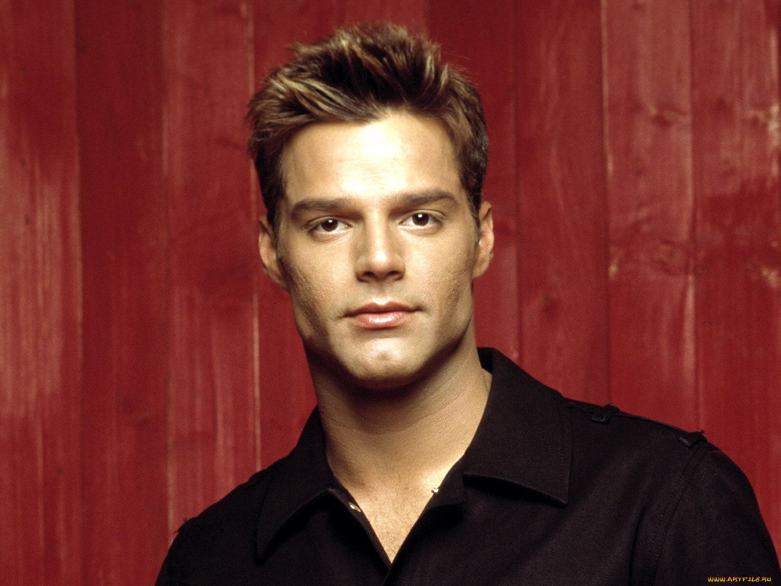 ricky, martin, музыка