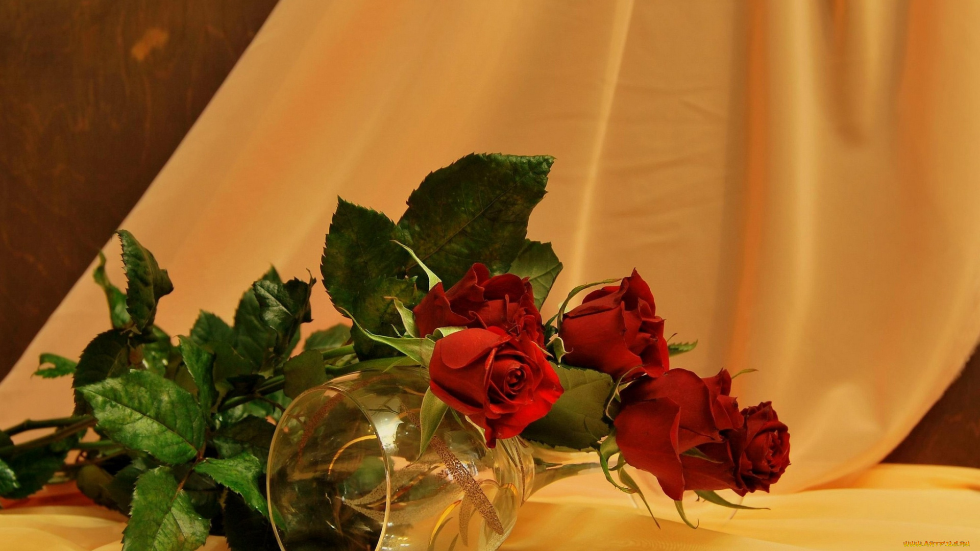 цветы, розы