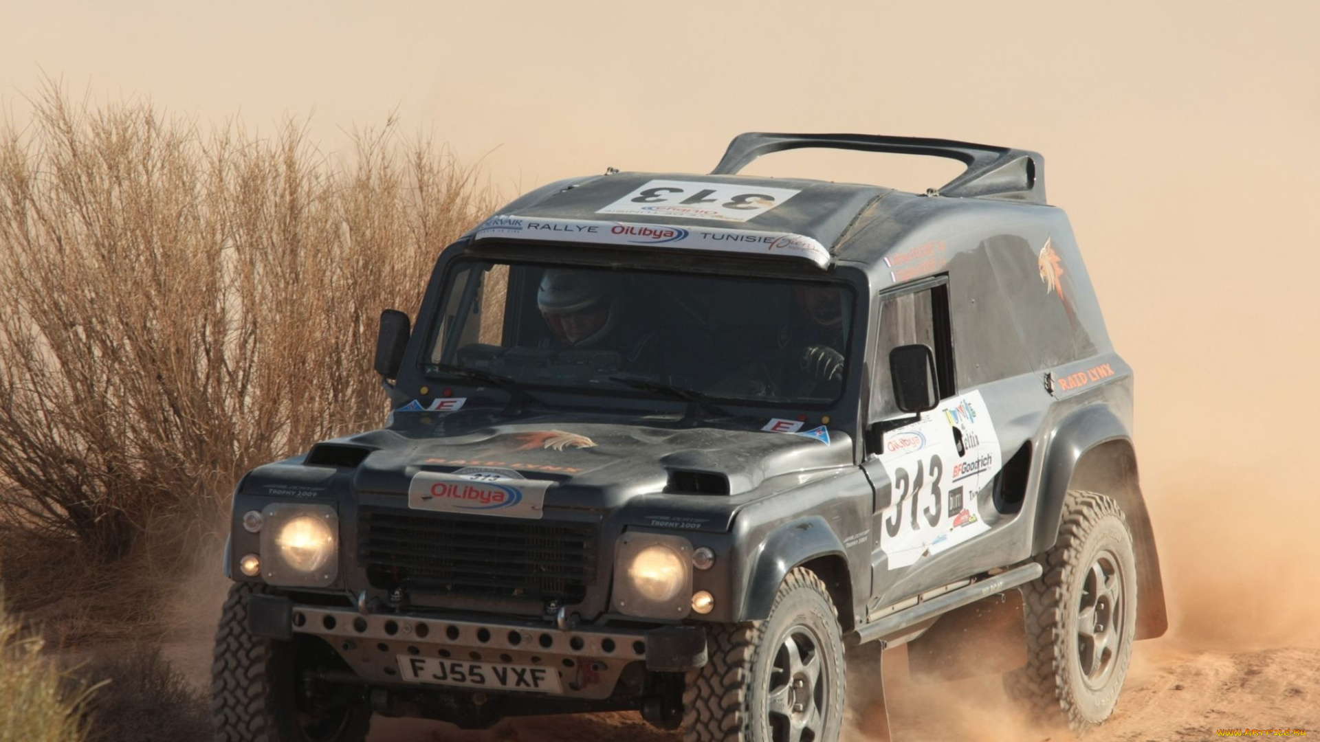 спорт, авторалли