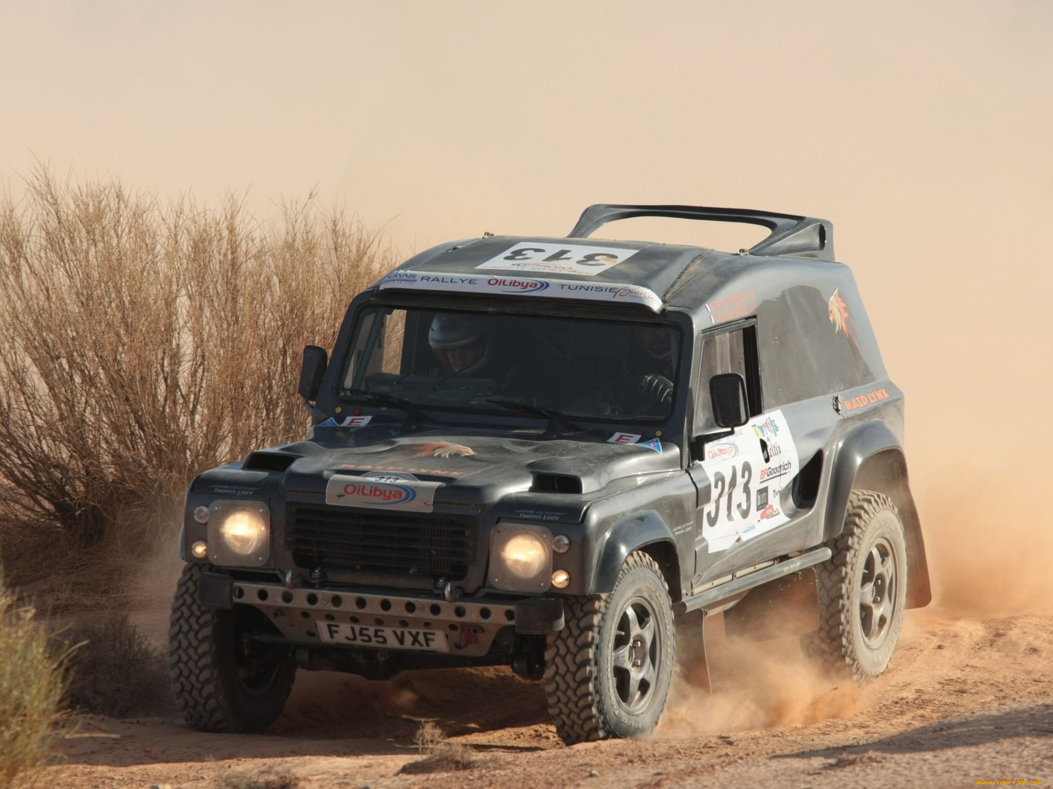 спорт, авторалли