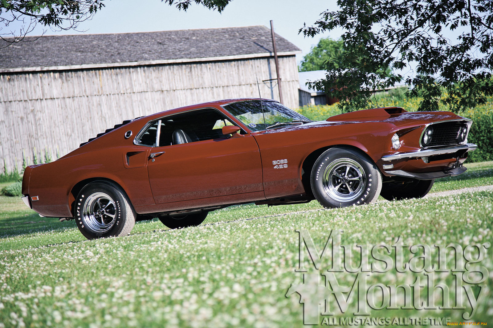 автомобили, mustang, boss-429-mustang