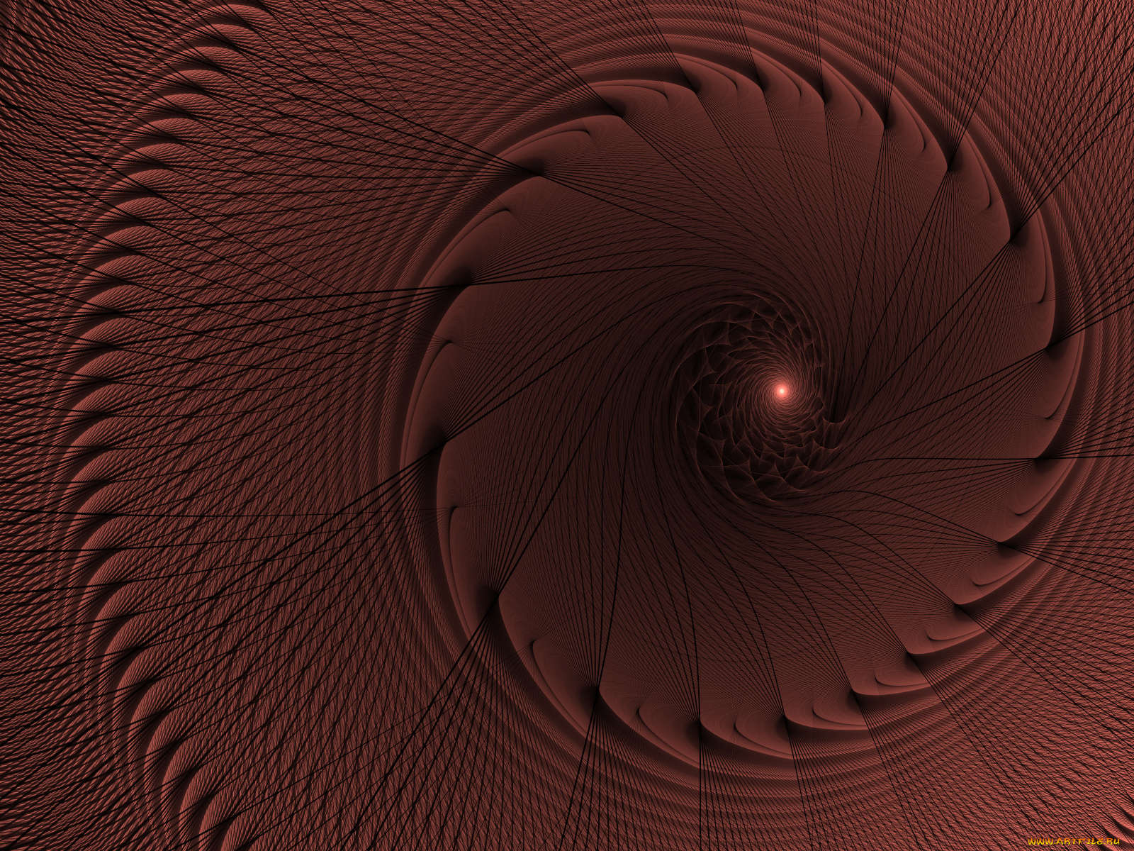 3д, графика, fractal, фракталы, фон, узор