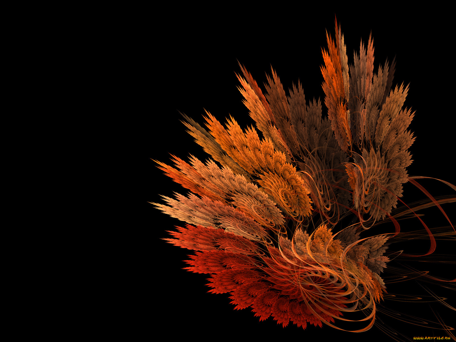 3д, графика, fractal, фракталы, фон, узор