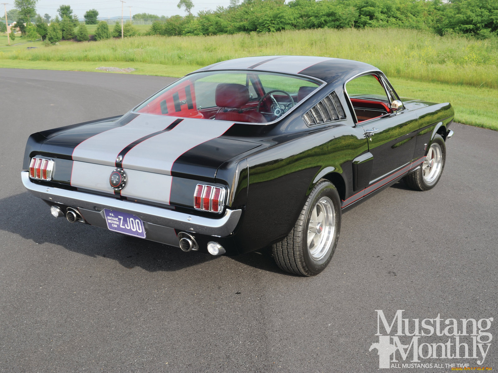 автомобили, mustang