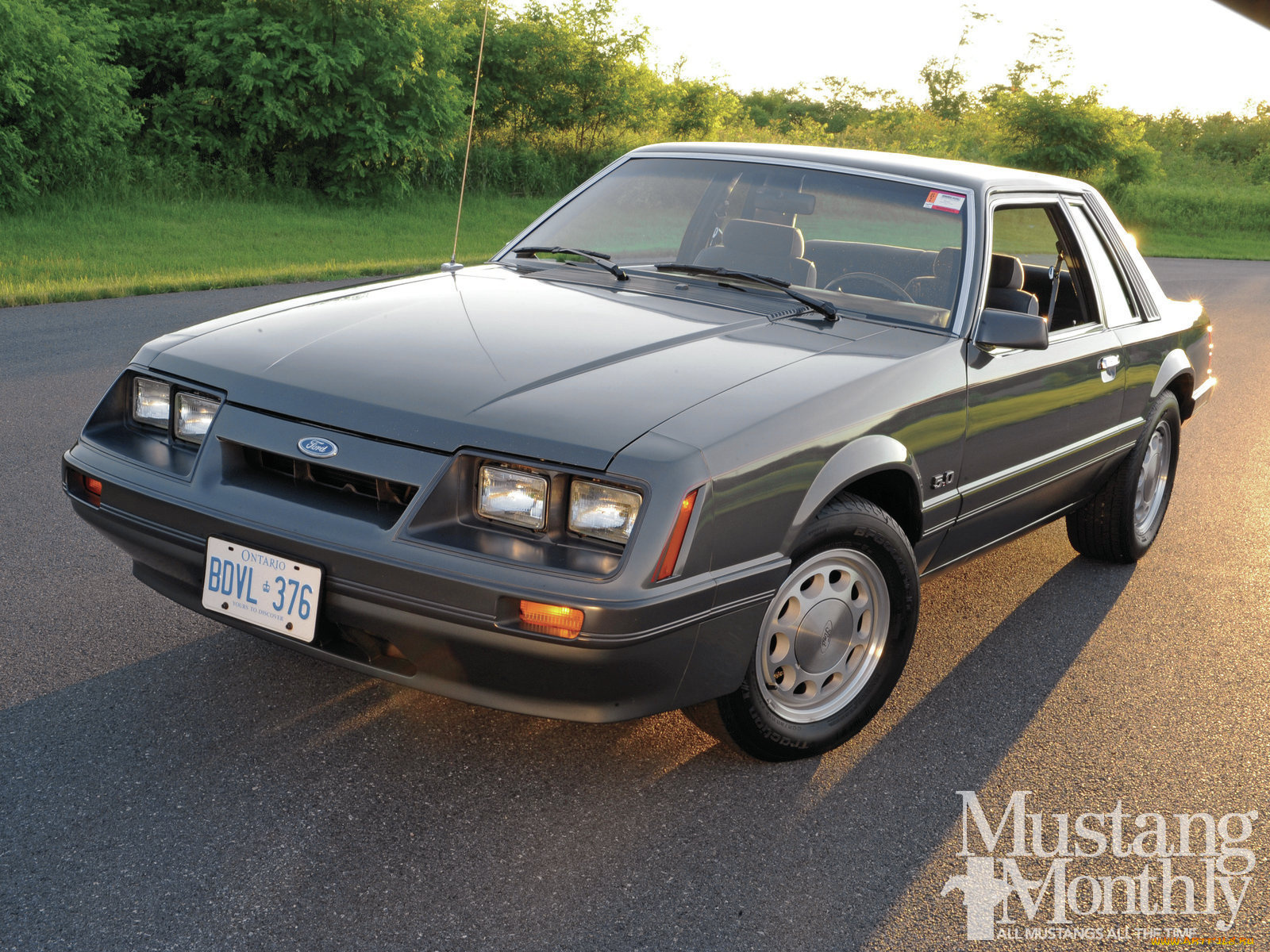 автомобили, mustang, time