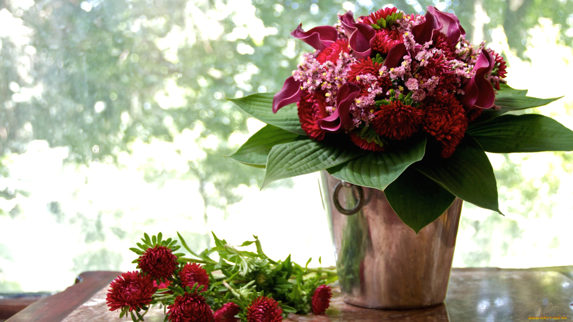 цветы, букеты, композиции, ведерко, каллы, астры