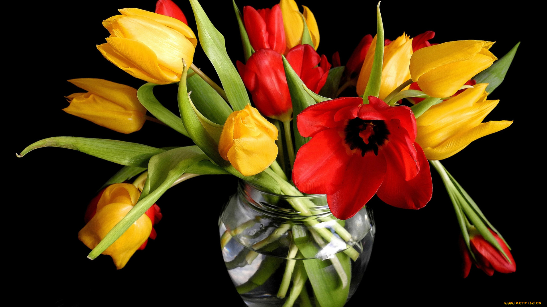 цветы, тюльпаны, ваза, букет