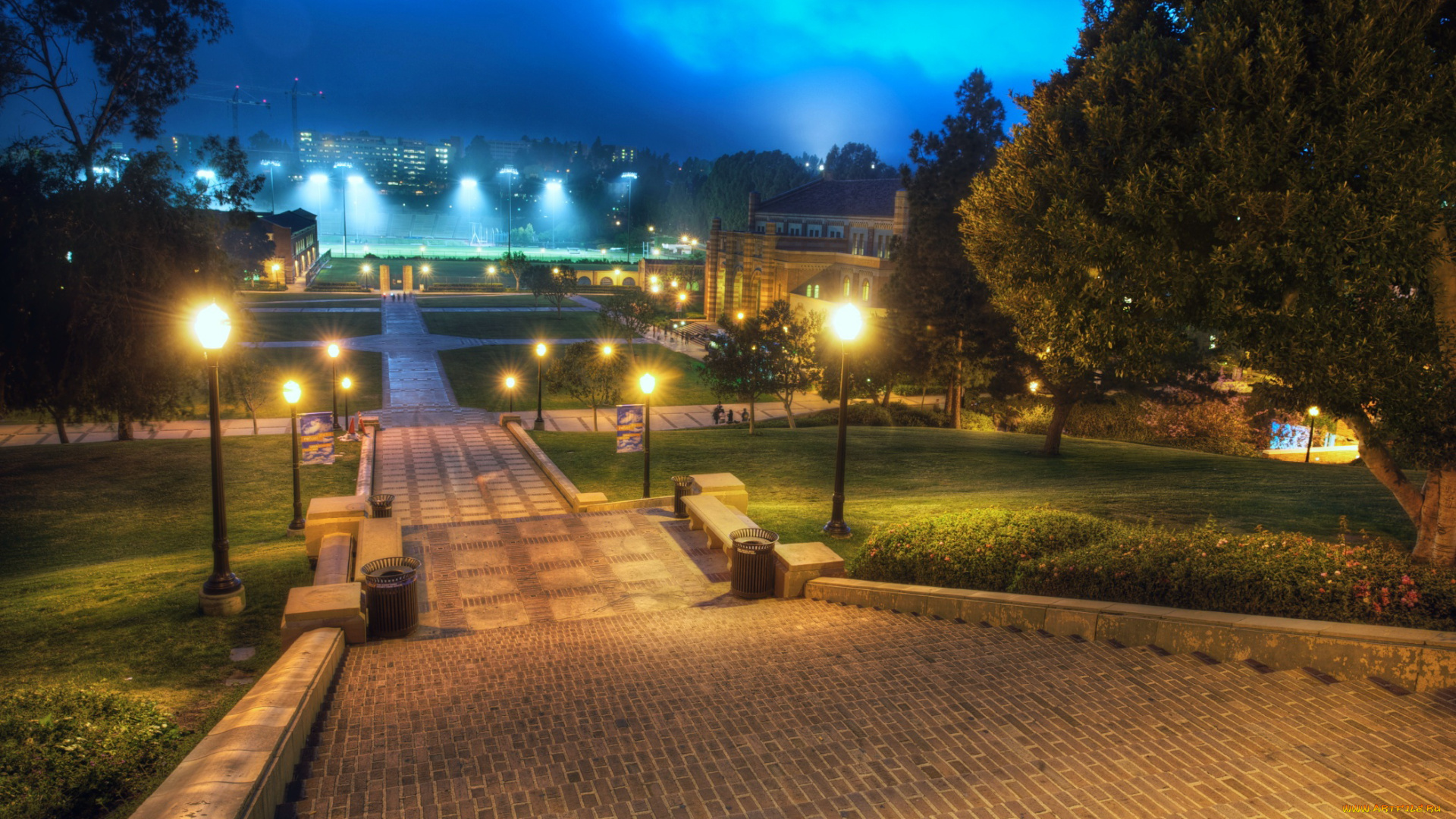 westwood, лос, анджелес, сша, города, огни, ночного, дома, деревья, лестница, ночь