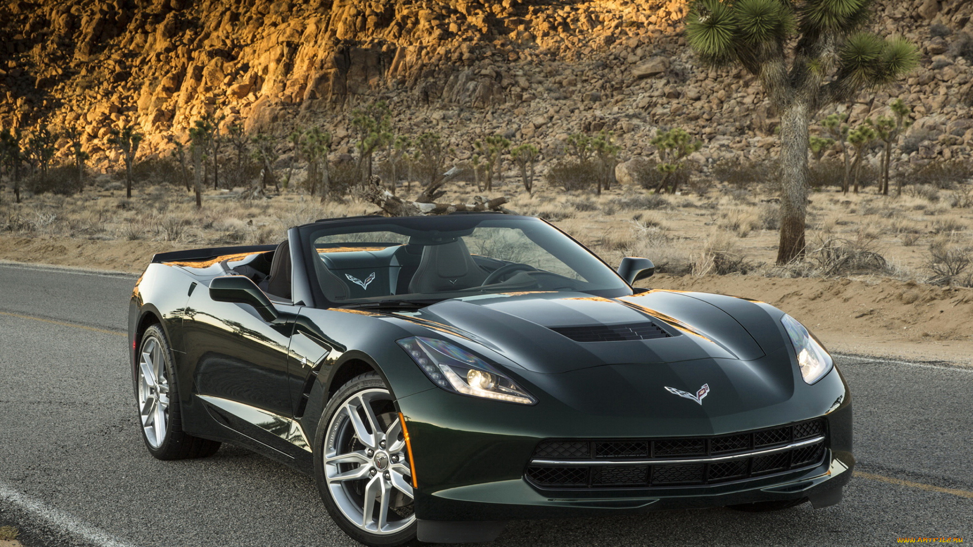 2014, , chevrolet, corvette, с7, stingray, автомобили, corvette, stingray, дорога, кабриолет, chevrolet, зеленый