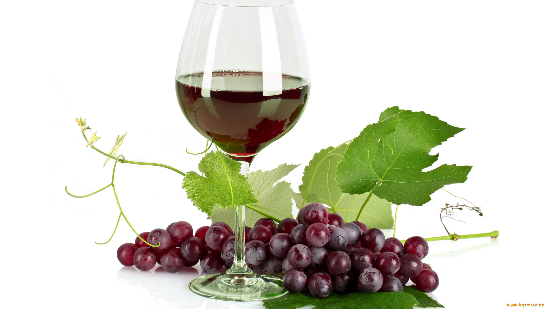 еда, напитки, , вино, бокал, вино, виноград