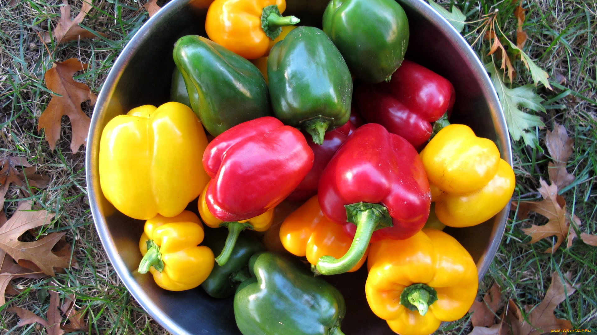 еда, овощи, перец