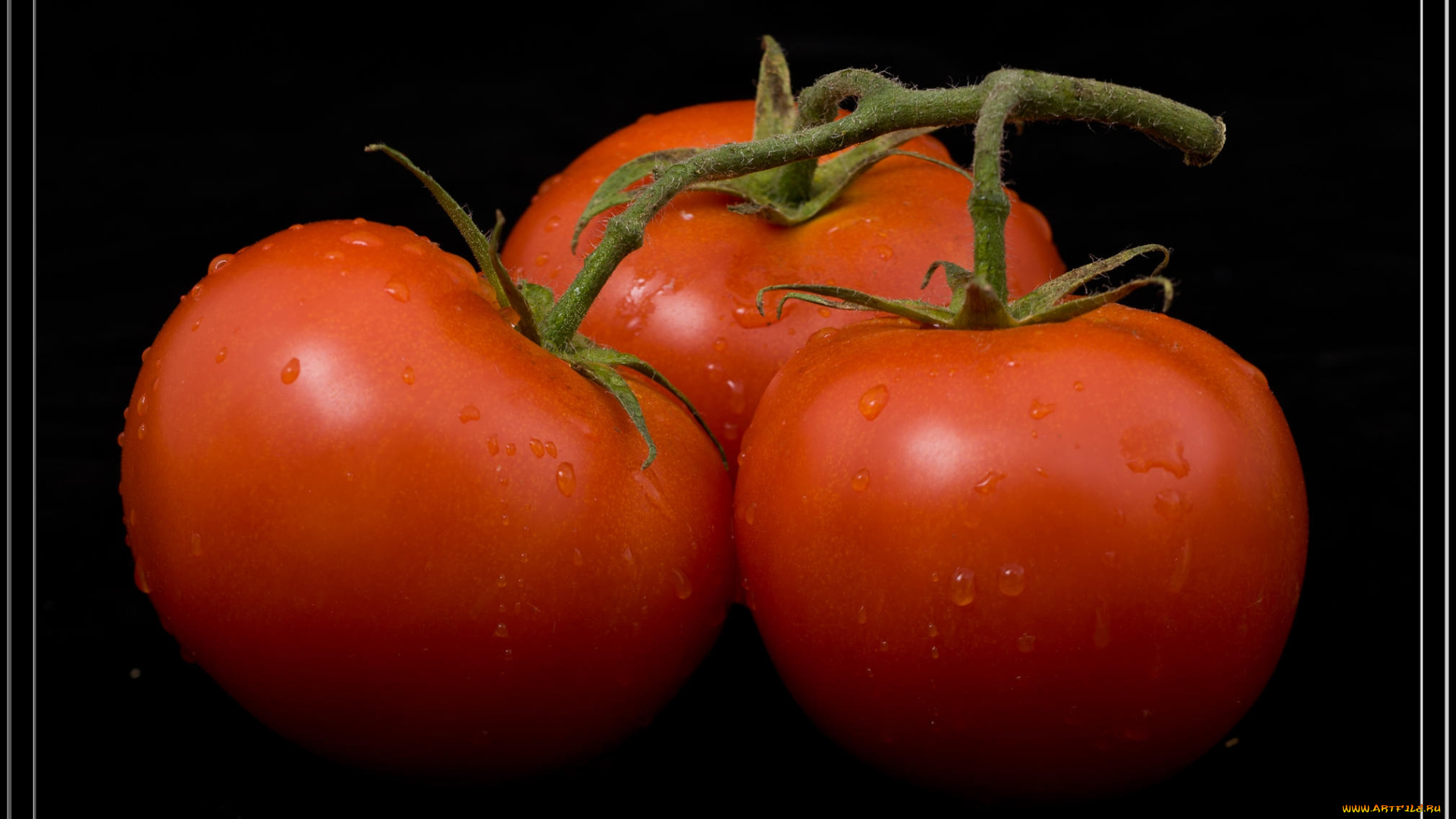 еда, помидоры, томаты