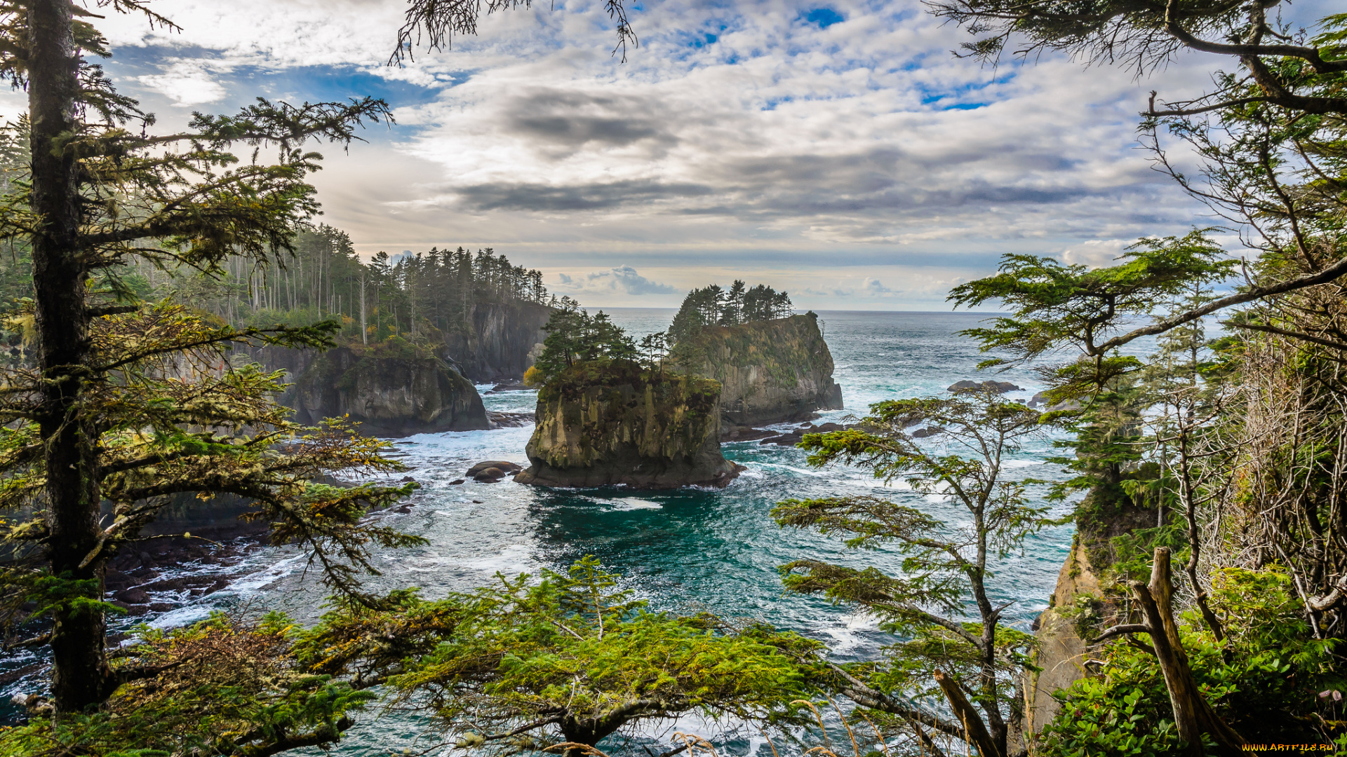 природа, побережье, скалы, камни, лес, океан, река