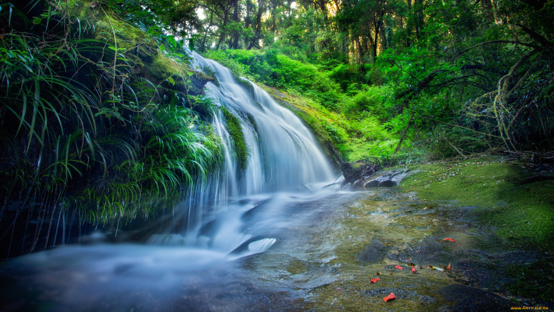 природа, водопады, поток, вода