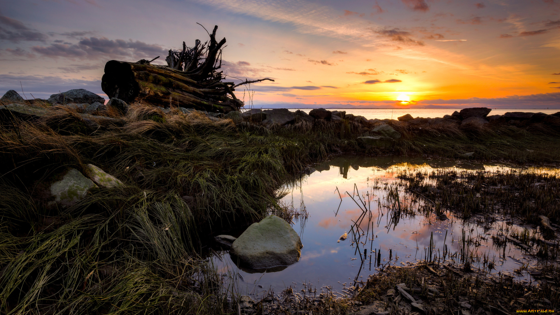 природа, восходы, закаты, трава, берег, океан, солнце, лужи, тучи, коряги