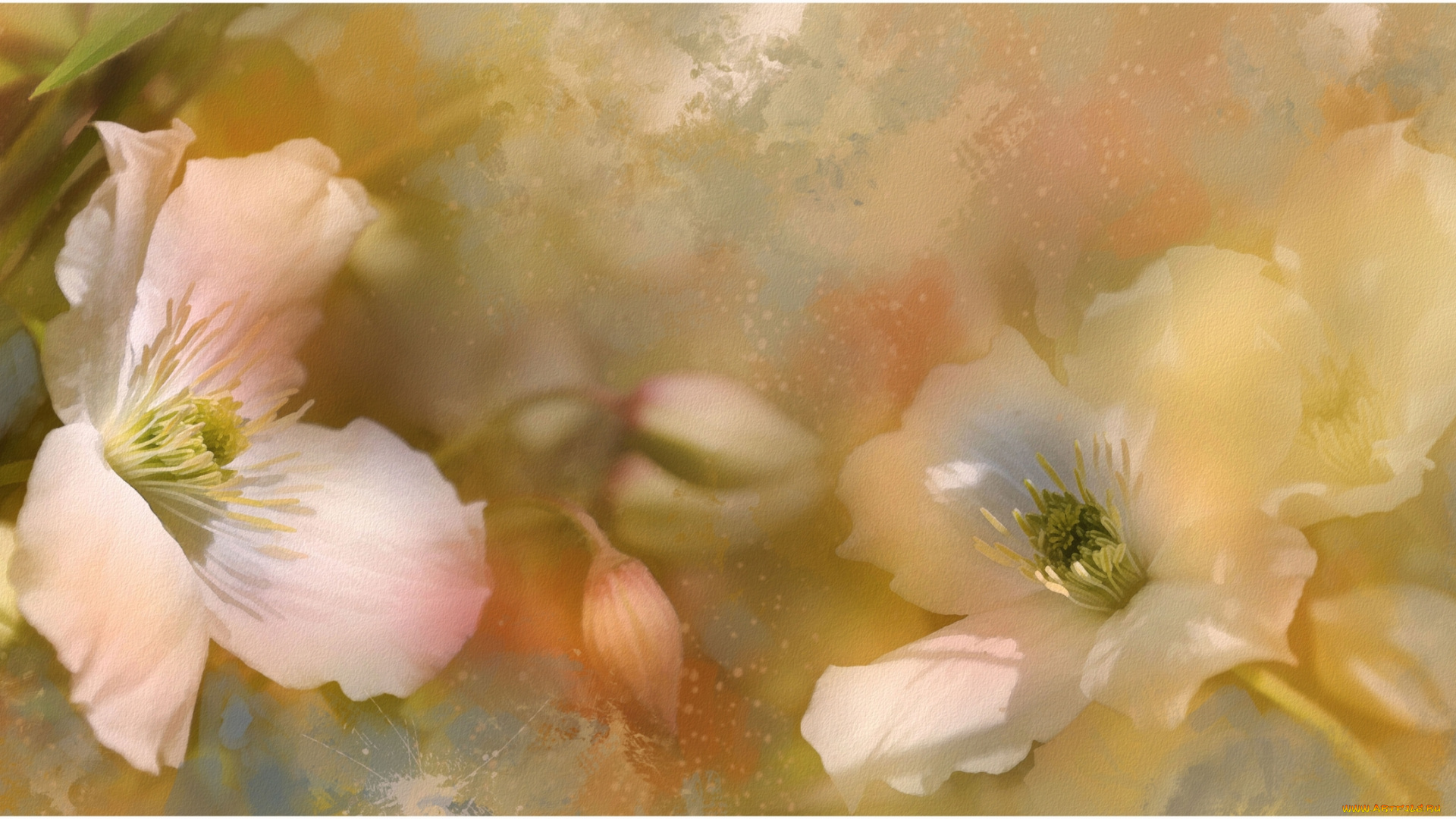 рисованные, цветы