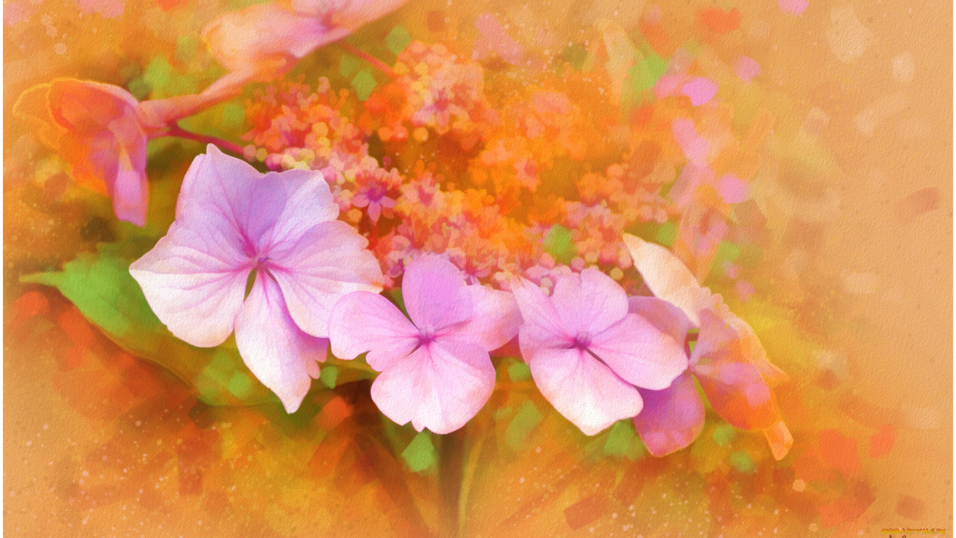 рисованные, цветы