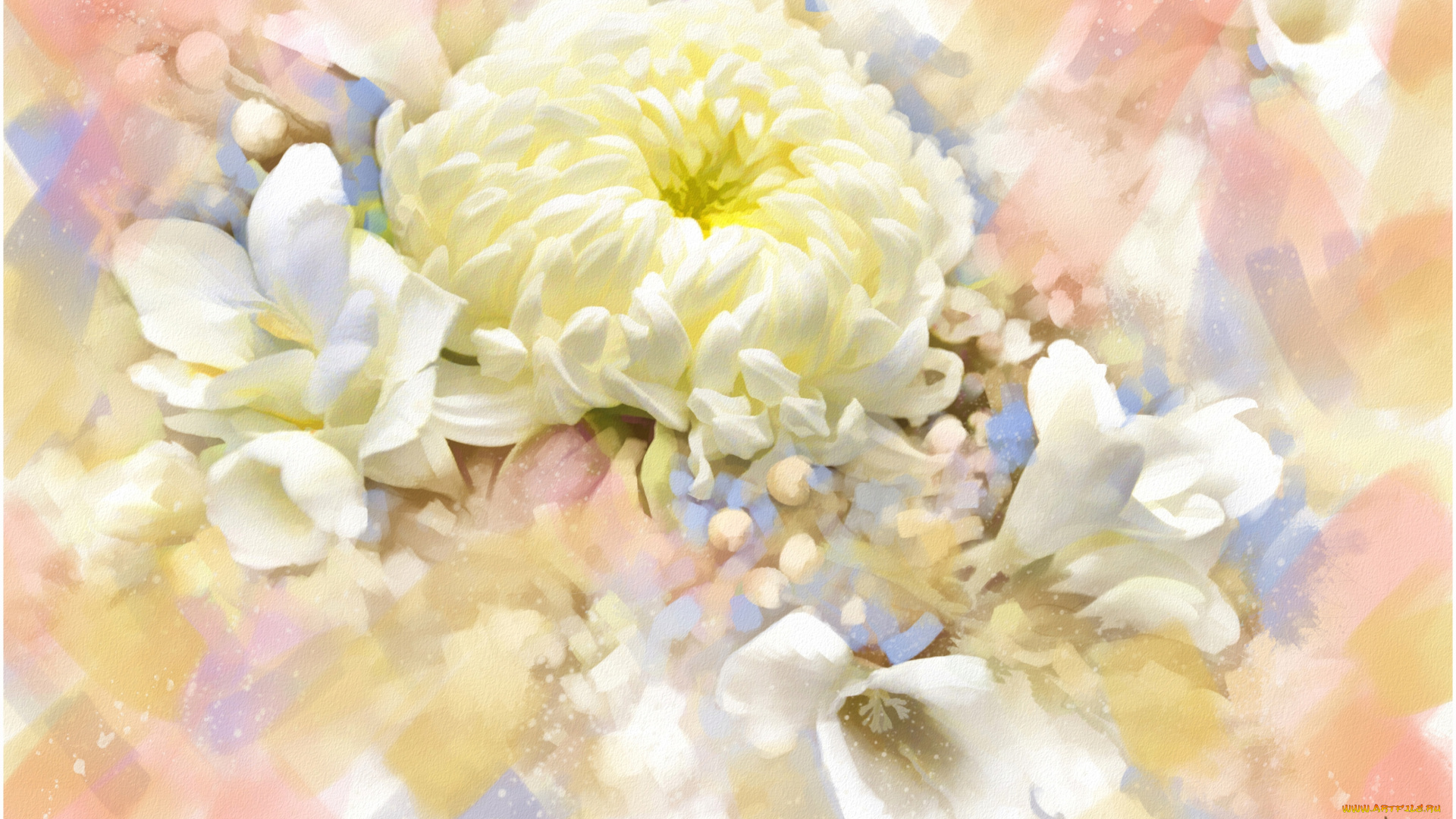 рисованные, цветы, фрезии, хризантема