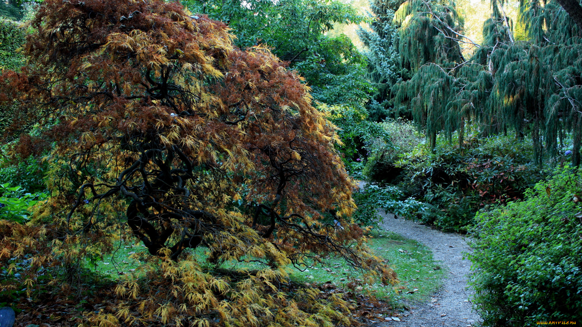 usher, gardens, , ireland, природа, парк, usher, gardens, деревья, кусты, дорожка, ирландия, сад, ireland