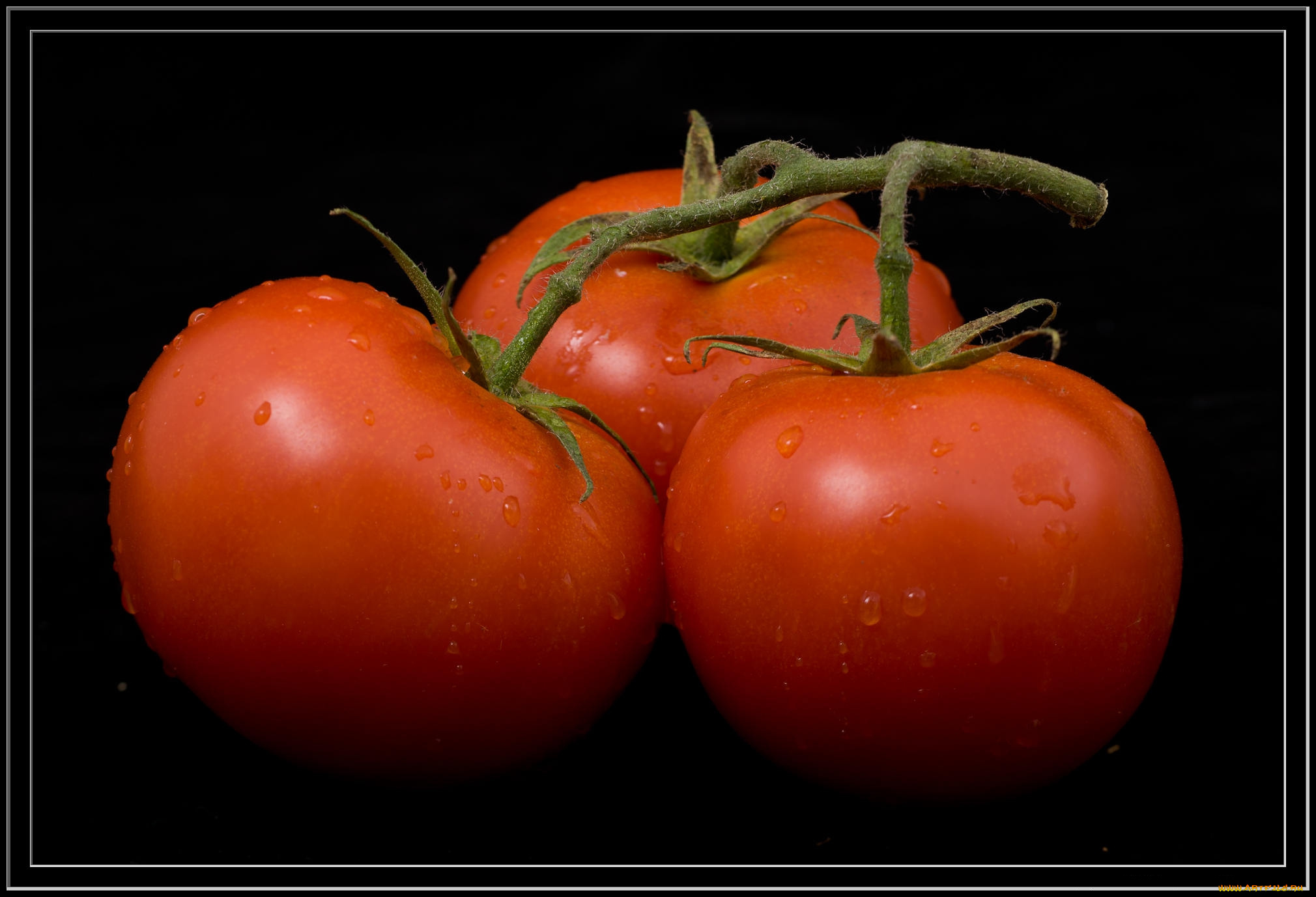 еда, помидоры, томаты