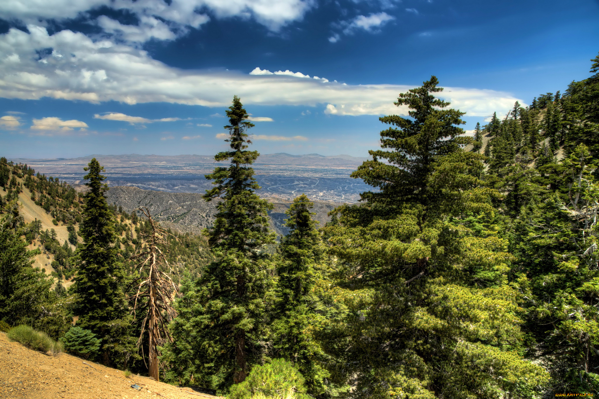 природа, пейзажи, пейзаж, горы, ели, калифорния, сша