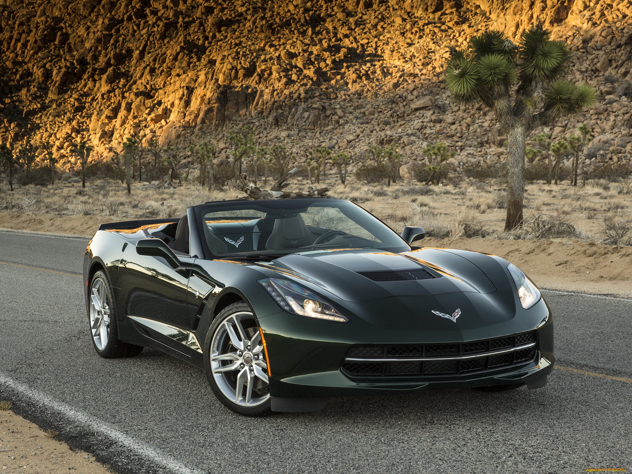 2014, , chevrolet, corvette, с7, stingray, автомобили, corvette, stingray, дорога, кабриолет, chevrolet, зеленый