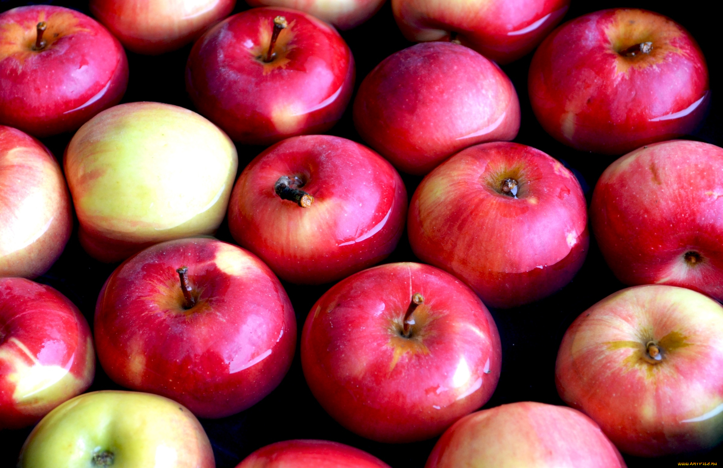 еда, Яблоки, плоды