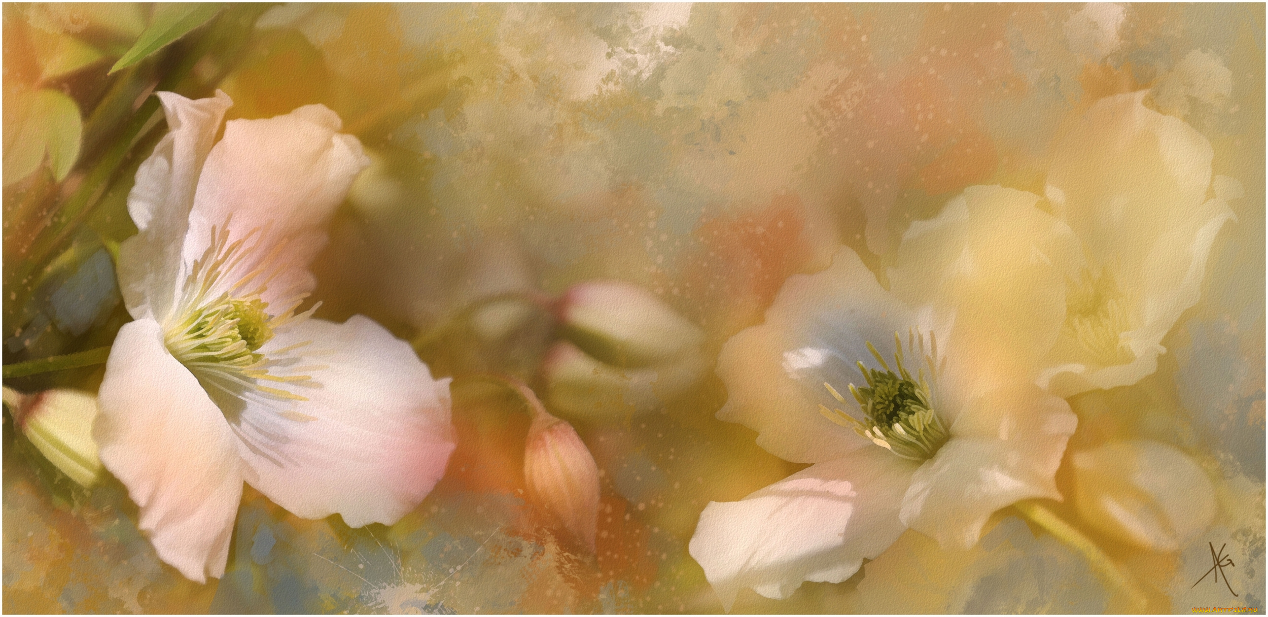 рисованные, цветы