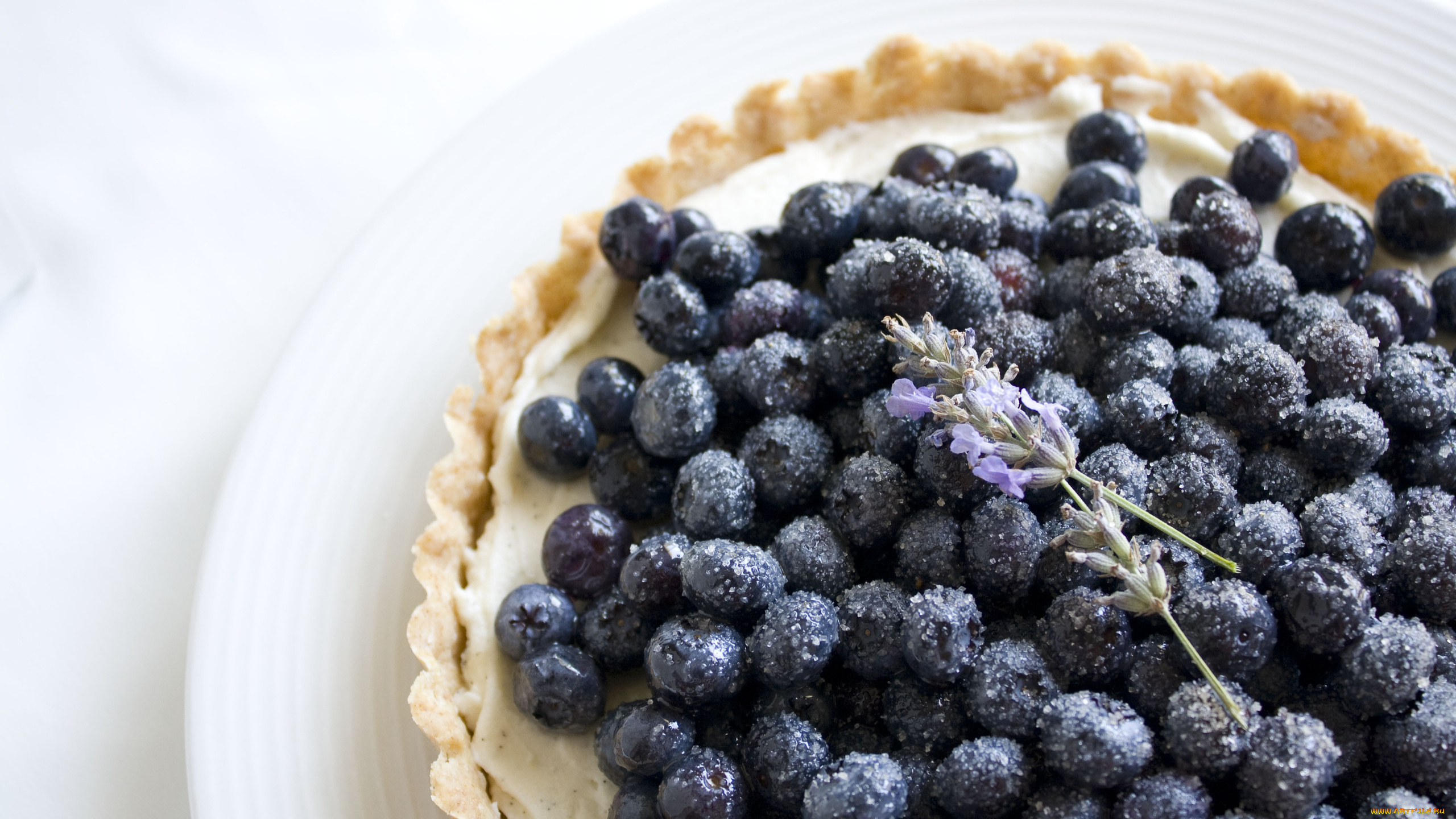 еда, пироги, черника, ягода, тарелка, тарталетка, цветы