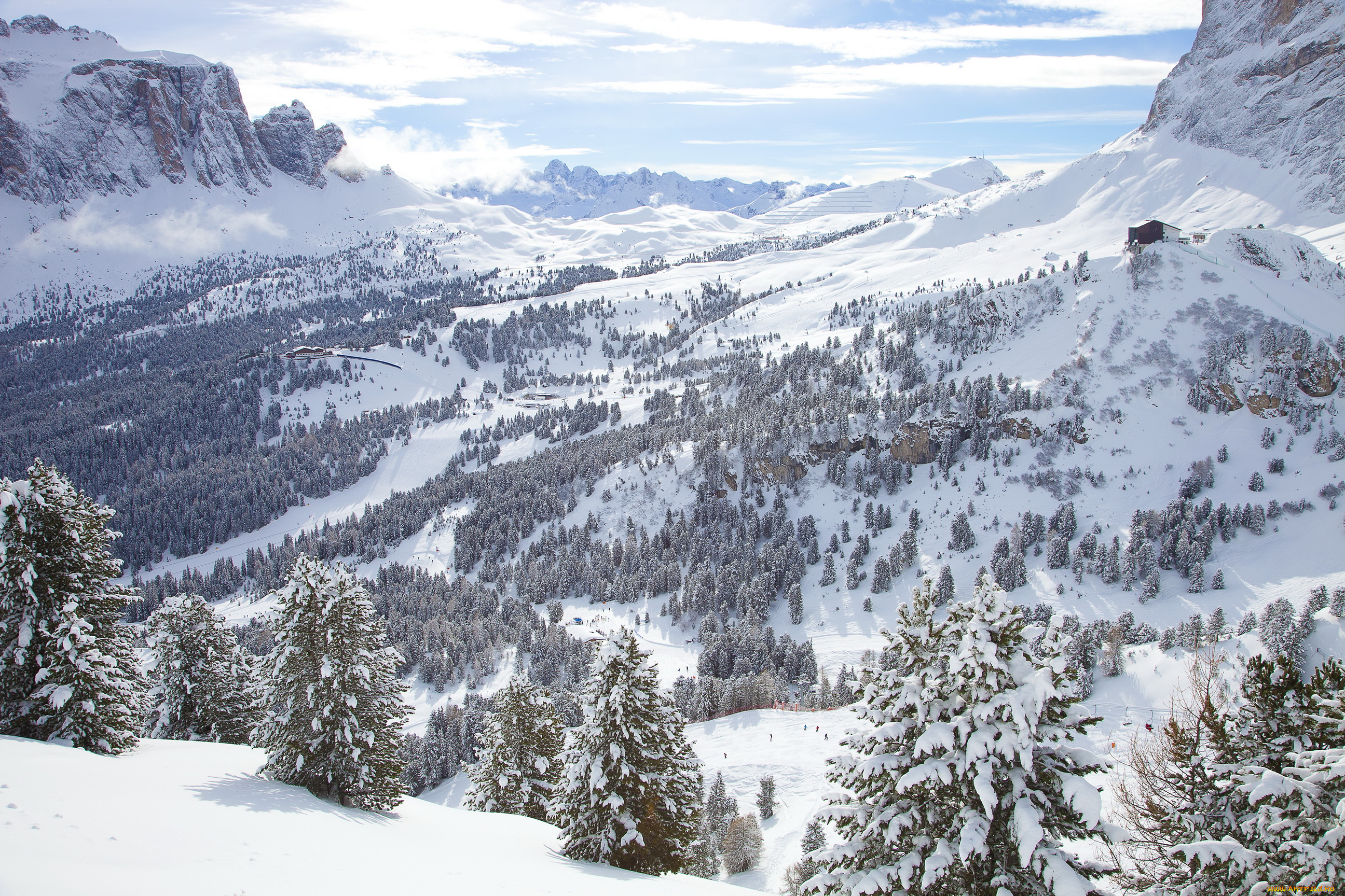 природа, зима, горы, ели, снег, приэльбрусье