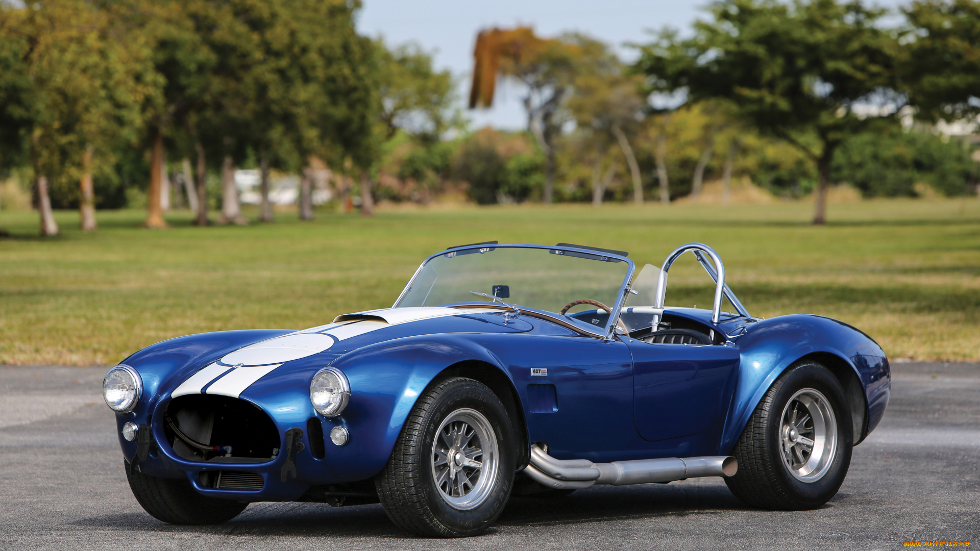 автомобили, ac, cobra, shelby, cobra