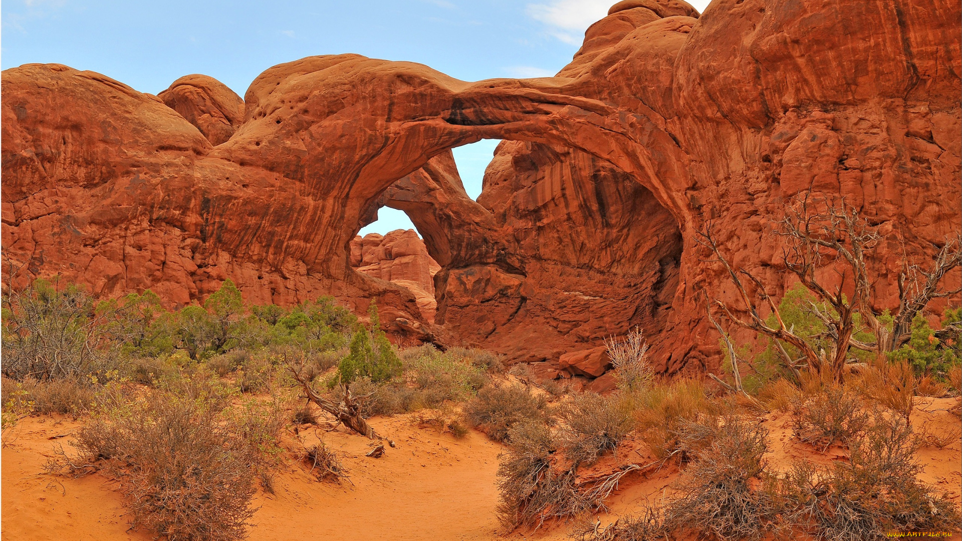 природа, горы, небо, арка, скалы, кусты, сша, uta, arches, national, park, деревья