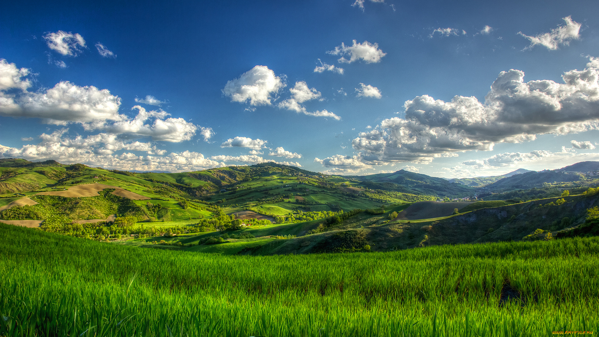 природа, пейзажи, cloud, grass, summer, hills, tree