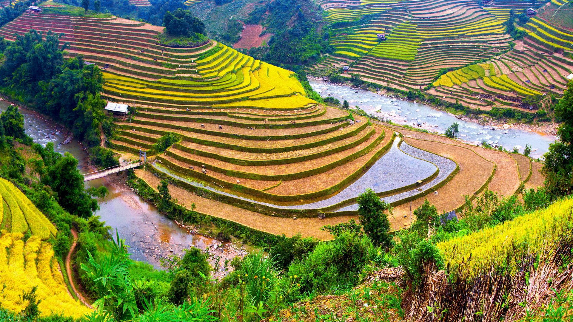 природа, поля, кусты, реки, пейзаж