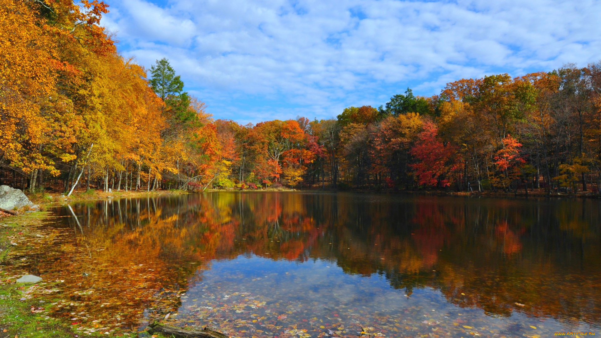природа, реки, озера, деревья, осень, лес, озеро, небо, облака