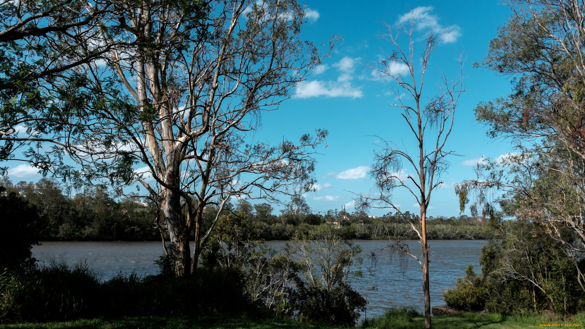 природа, реки, озера, деревья, река, небо