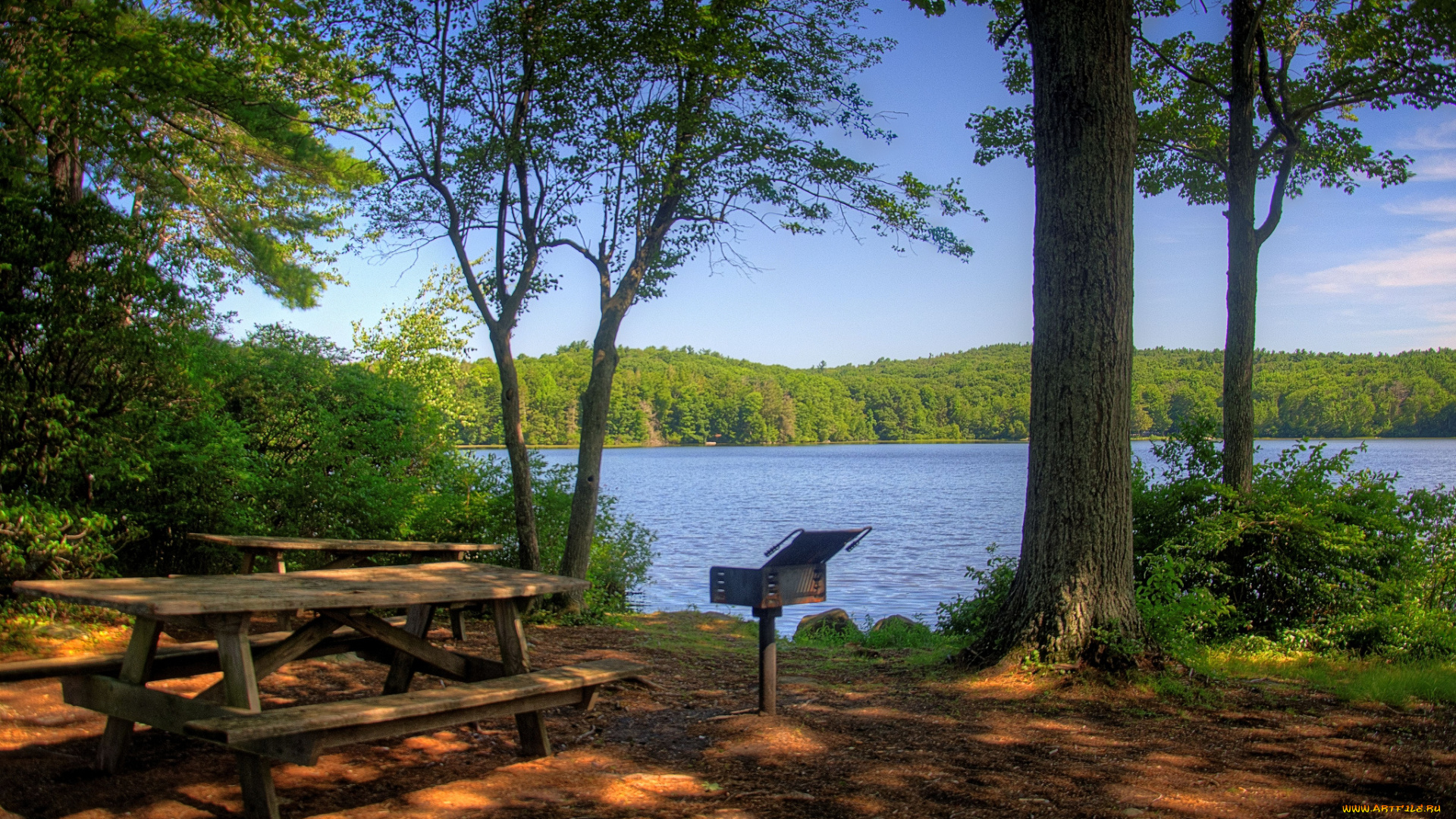 природа, реки, озера, лес, река