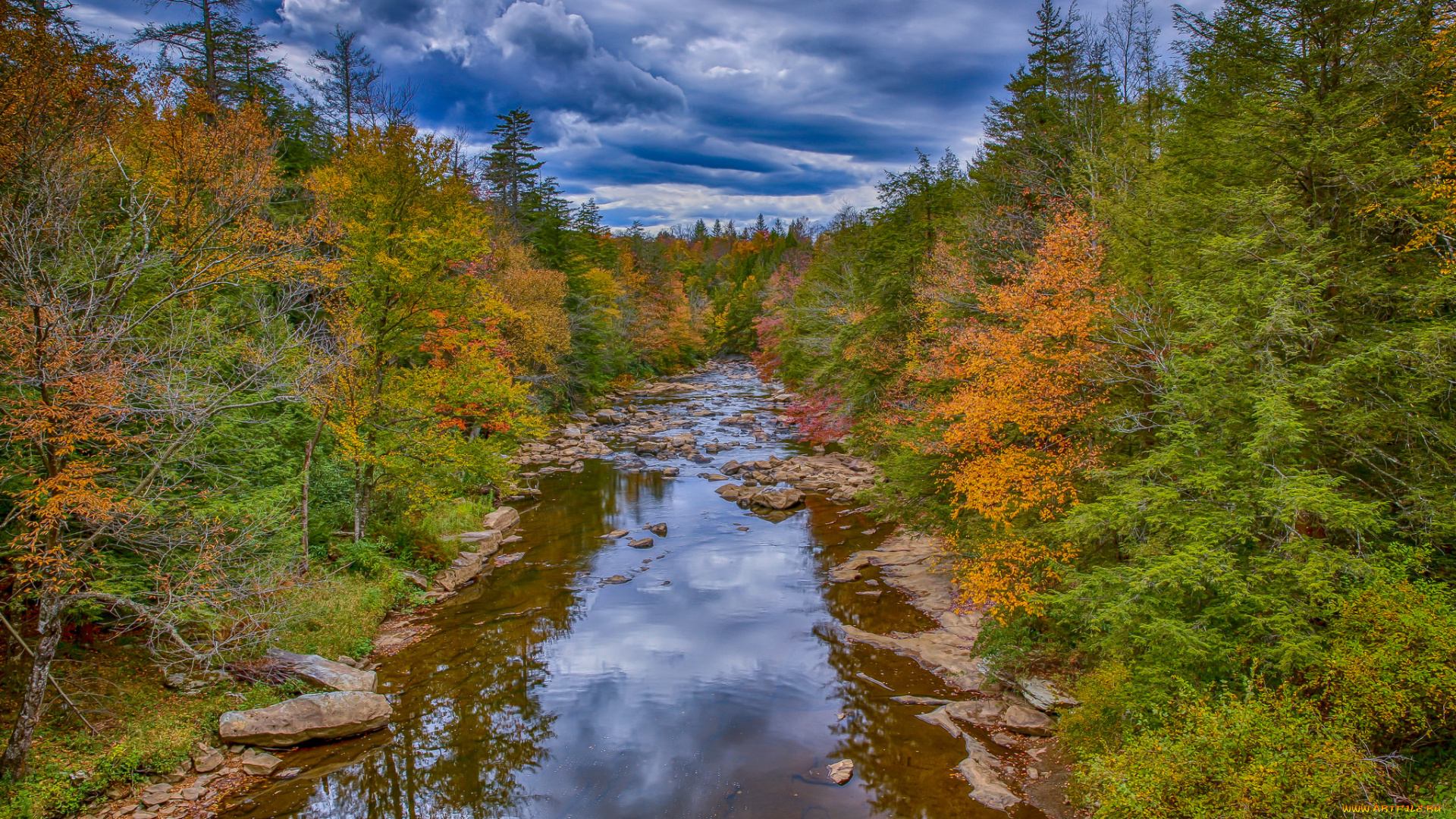 природа, реки, озера, лес, река, осень