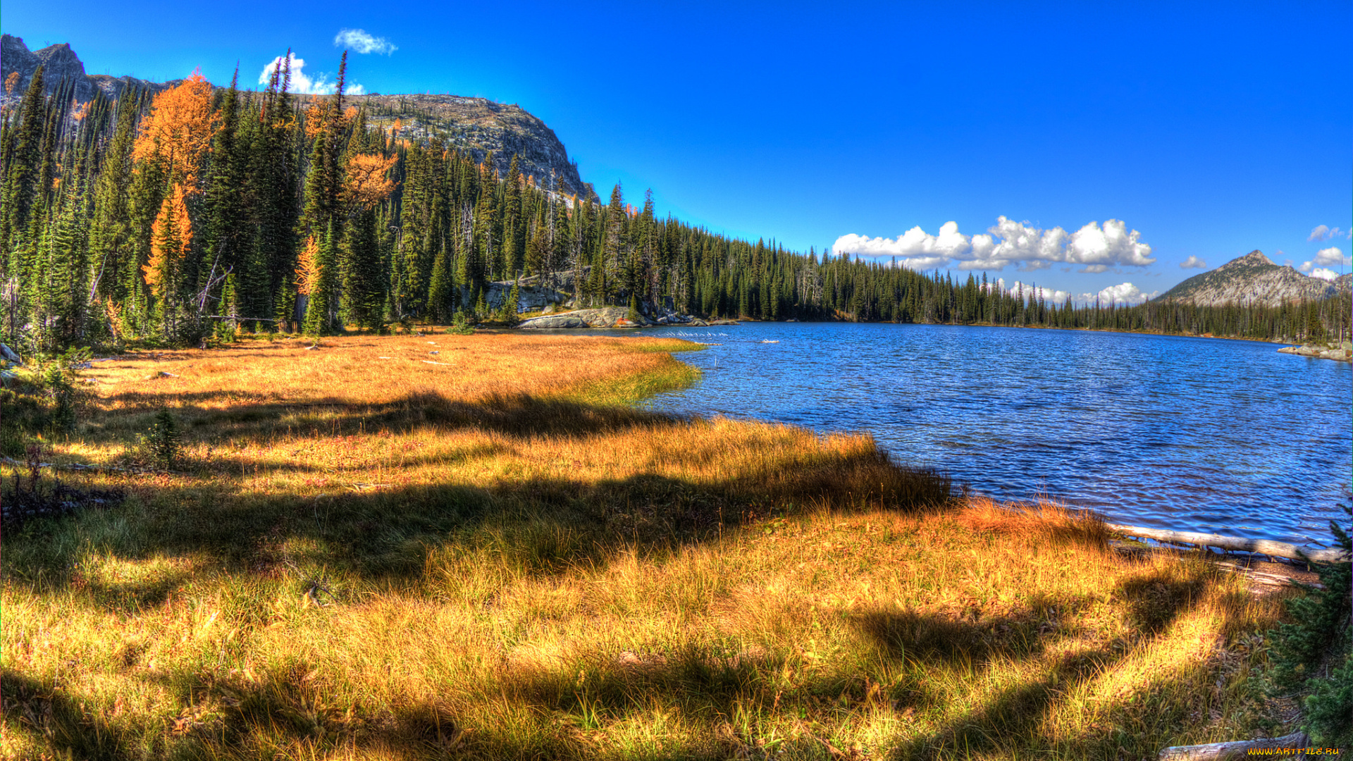 природа, реки, озера, река, горы, лес