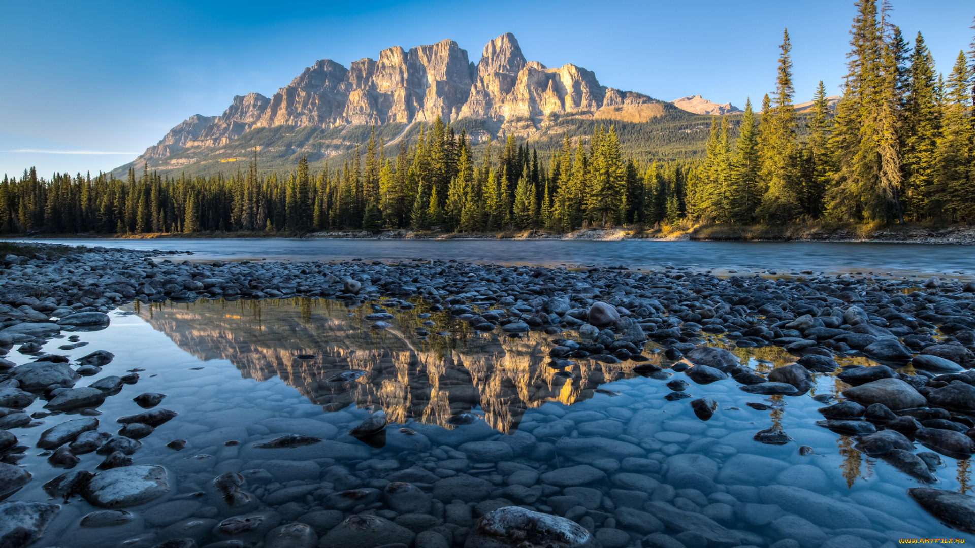 природа, реки, озера, река, лес