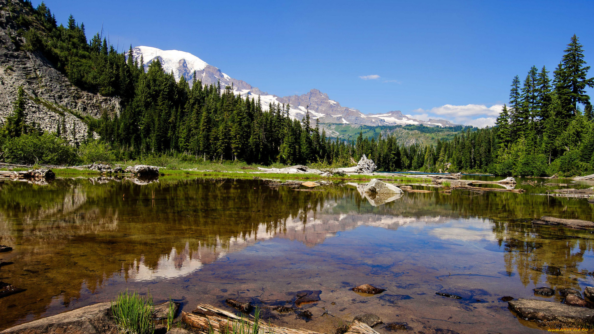 природа, реки, озера, река, лес