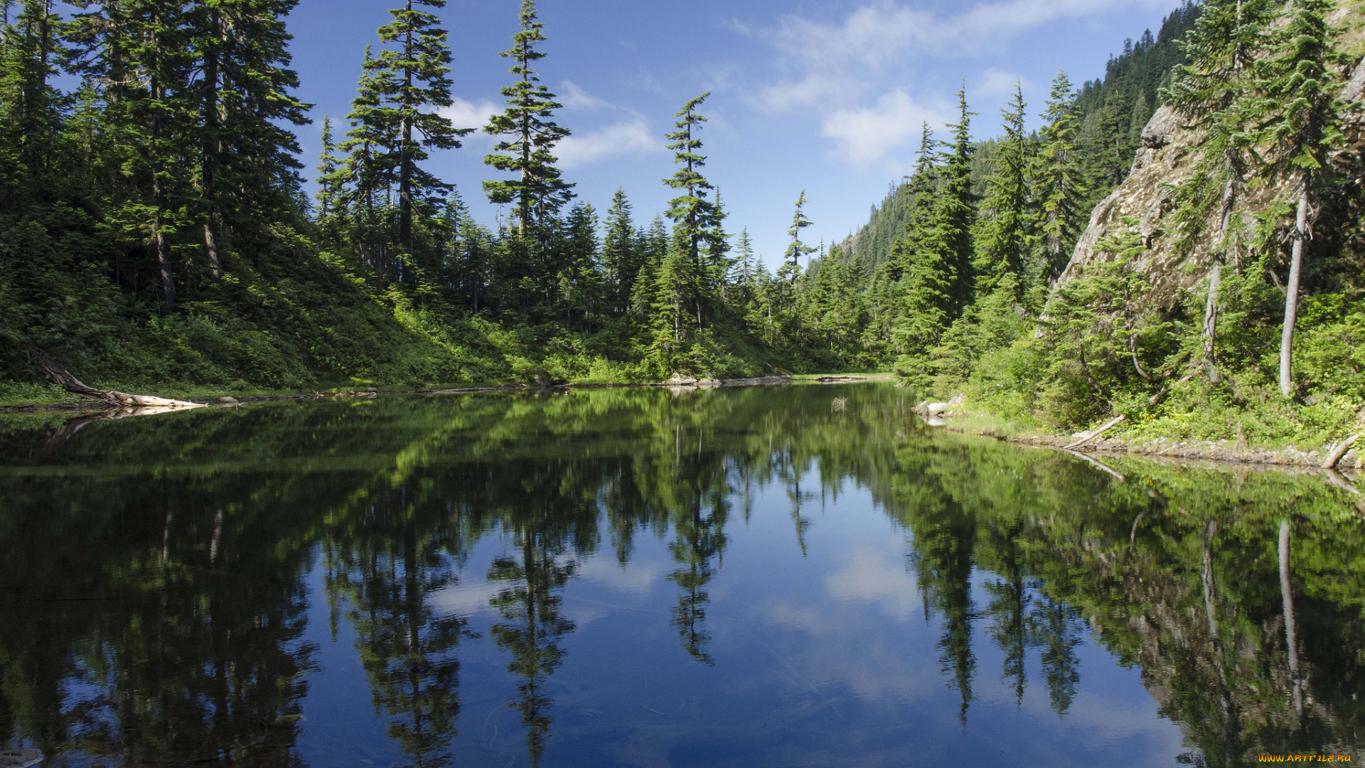 природа, реки, озера, река, лес