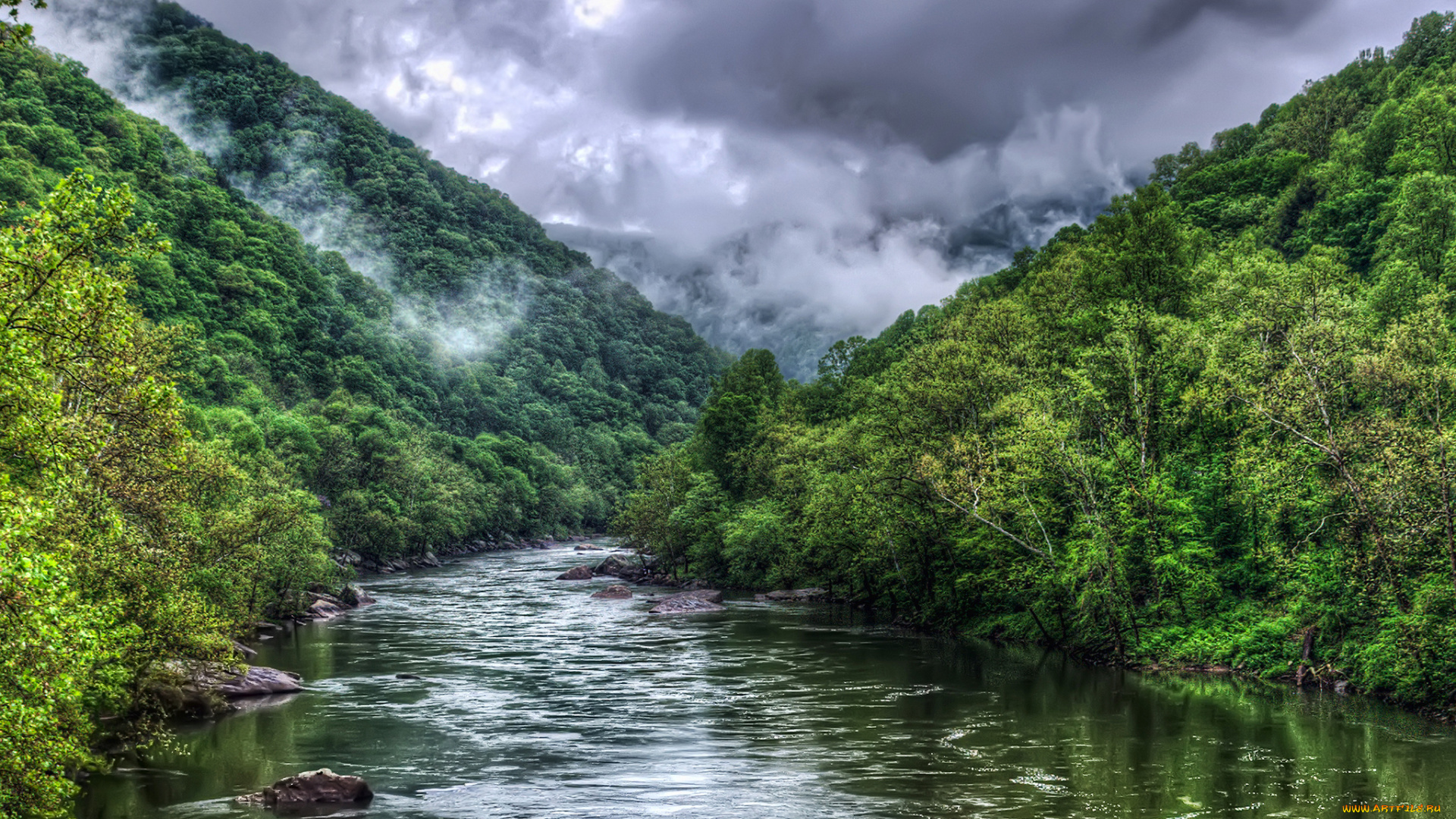 природа, реки, озера, река, лес