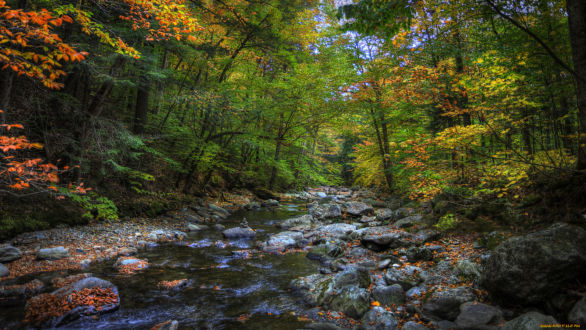 природа, реки, озера, река, лес