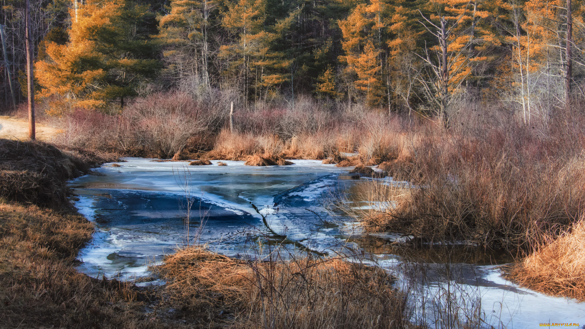 природа, реки, озера, река, лес