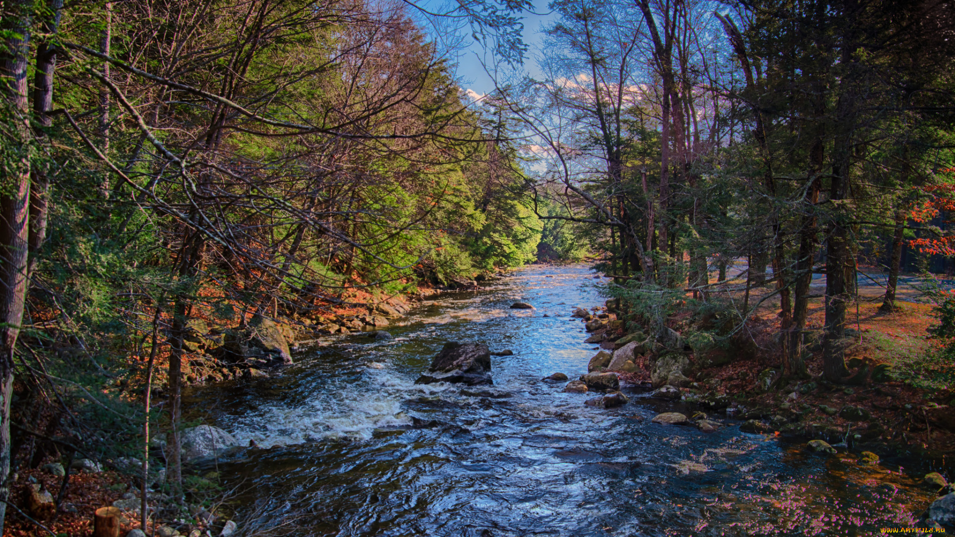 природа, реки, озера, река, лес