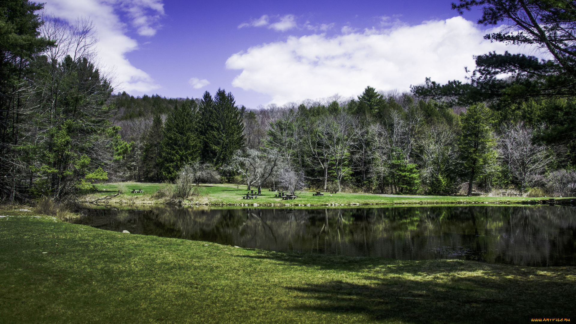 природа, реки, озера, река, лес