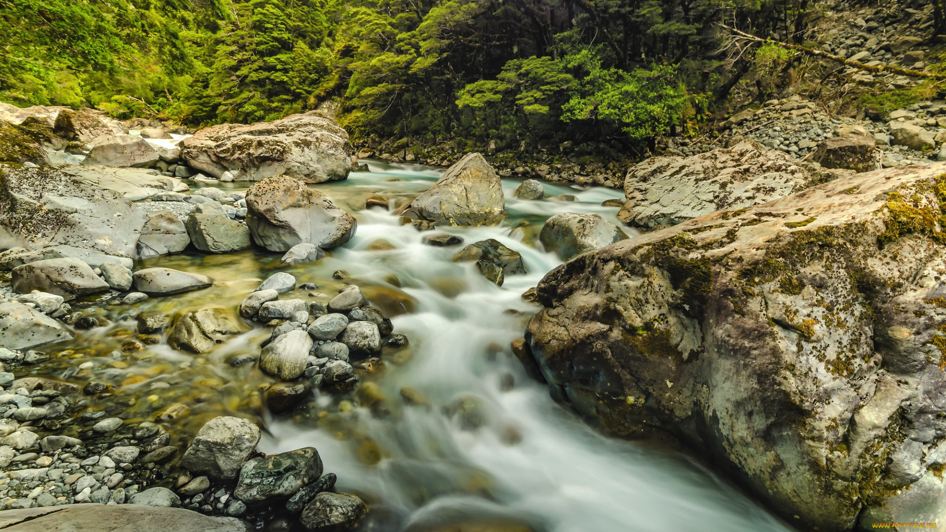 природа, реки, озера, река, лес